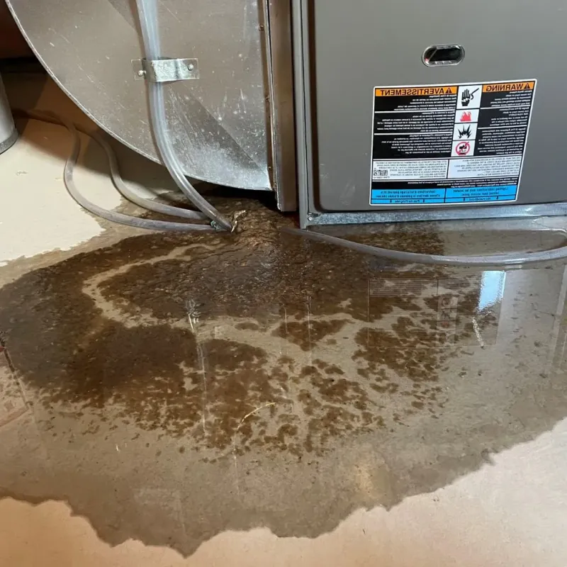 Pipe Burst and Leak Restoration in Forest Park, IL