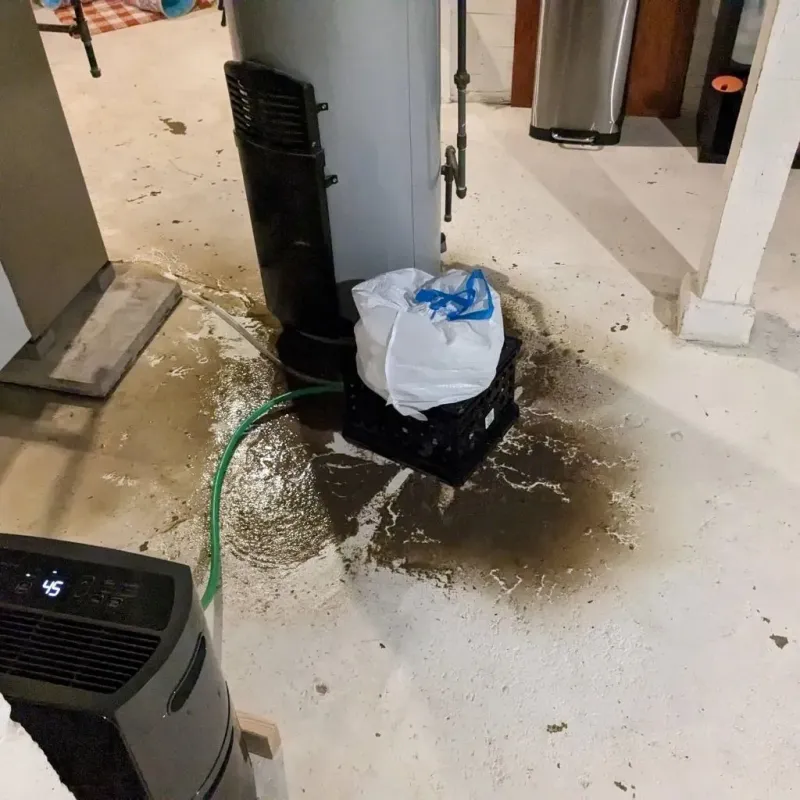 Sewage Backup Cleanup Service in Forest Park, IL